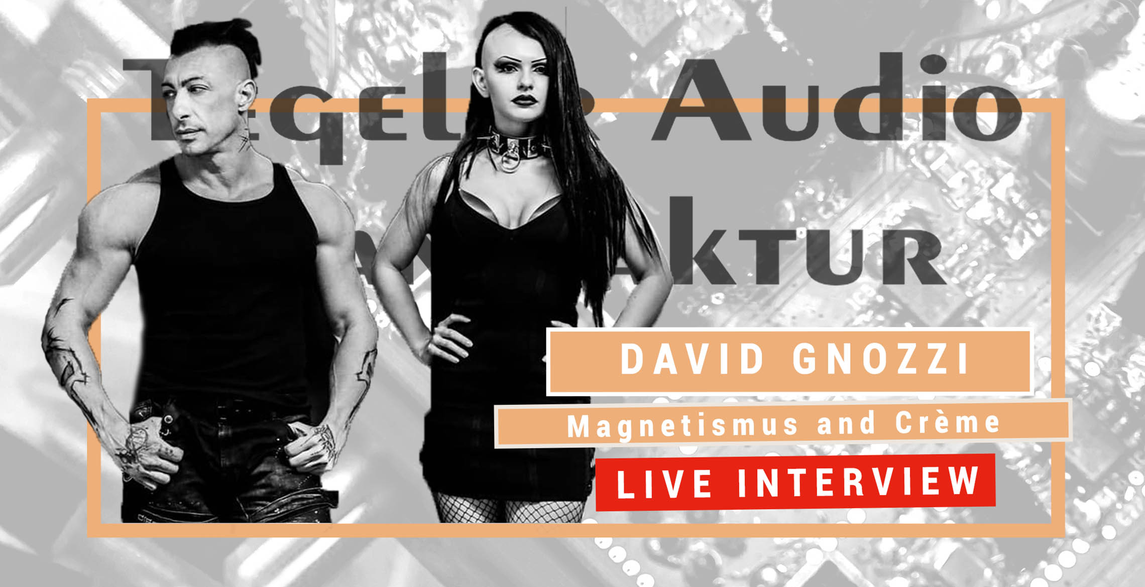 Artist Interview with David Gnozzi (MixBusTV)